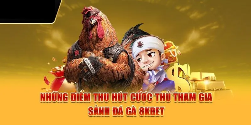 Tại sao đá gà 8KBET được nhiều người yêu thích